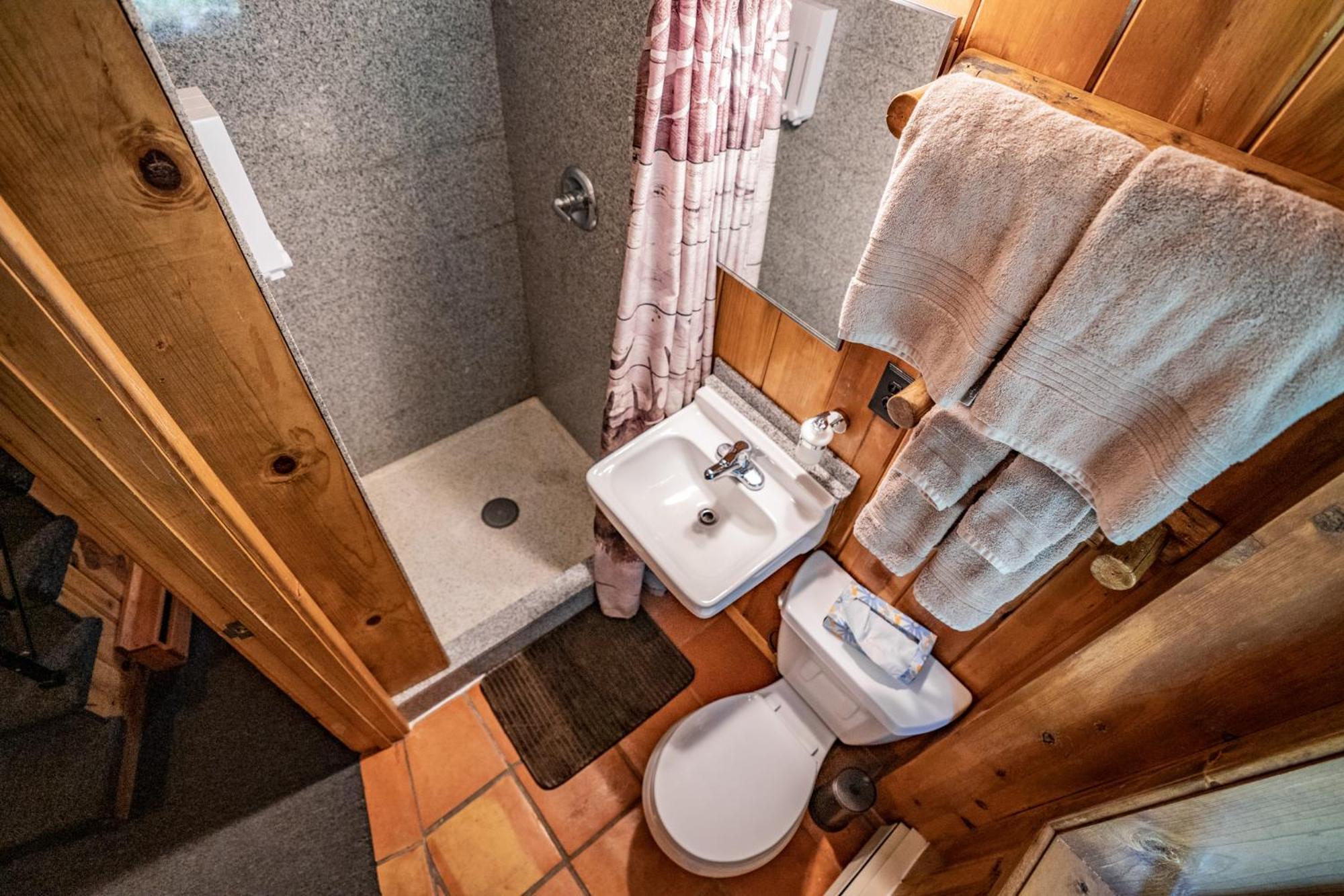 Colorado Bear Creek Cabins 常青城 客房 照片