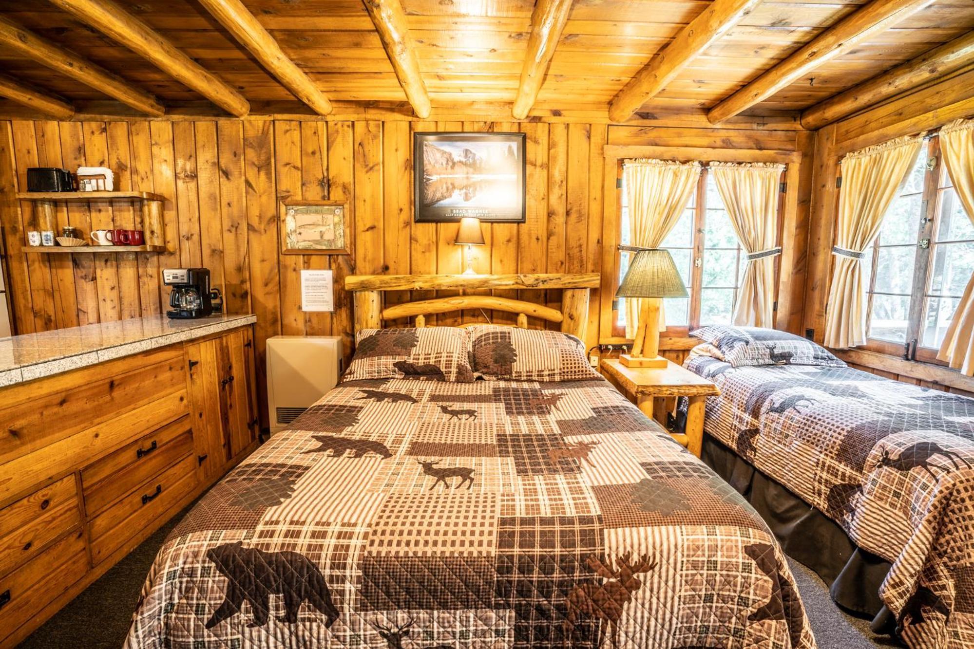 Colorado Bear Creek Cabins 常青城 客房 照片
